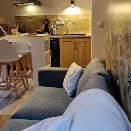 Apartment Avec Beaucoup De Charme Intra Muros Avignon