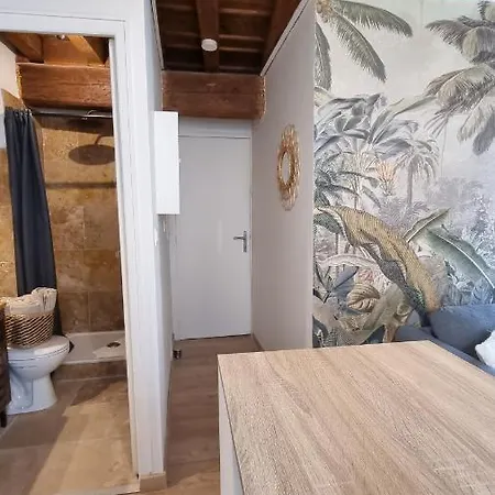 Avec Beaucoup De Charme Intra Muros Appartement Avignon